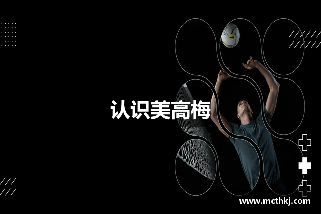 认识美高梅